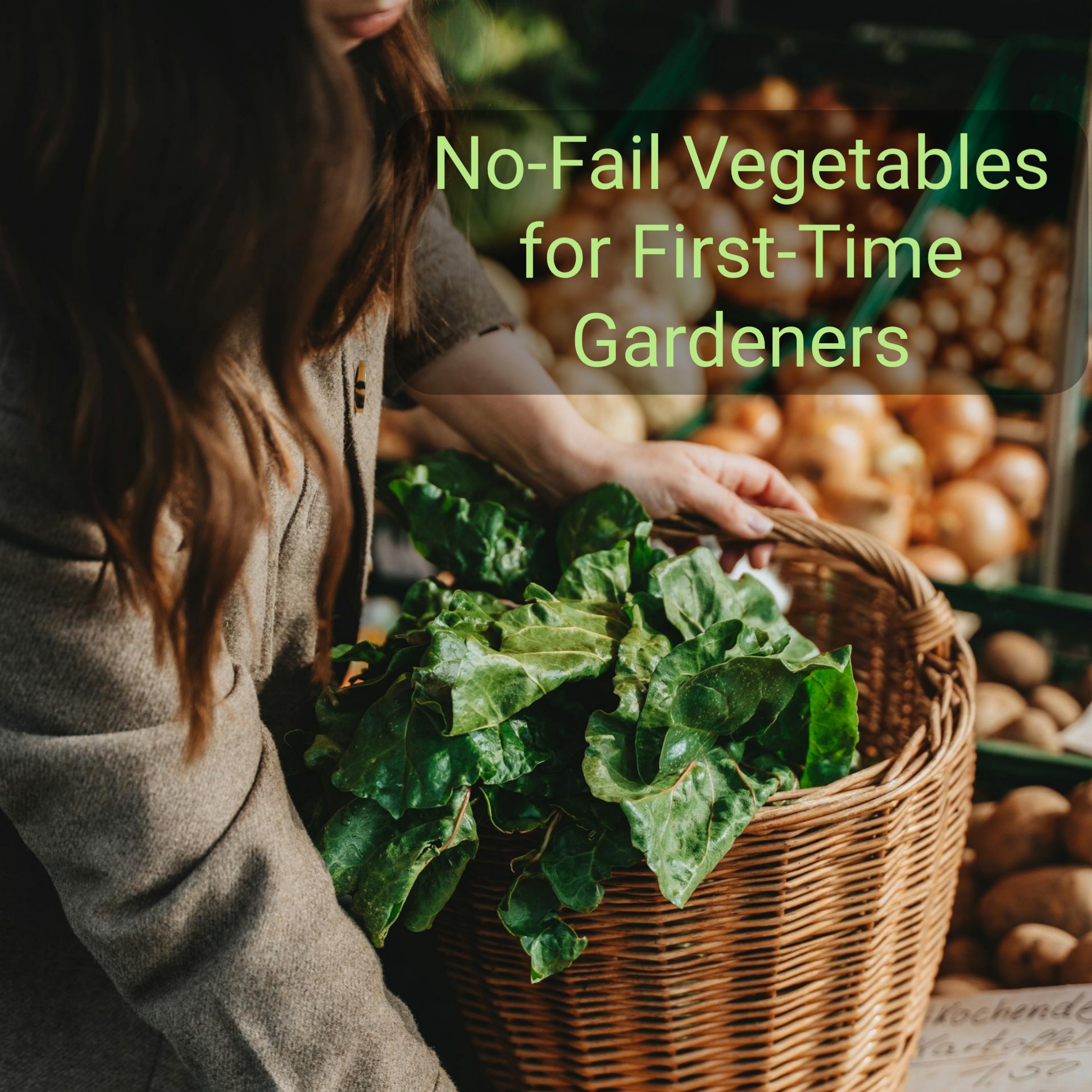The Best Vegetables for Beginner Gardeners
